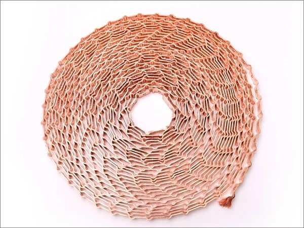 copper foil laminated connectors supper long