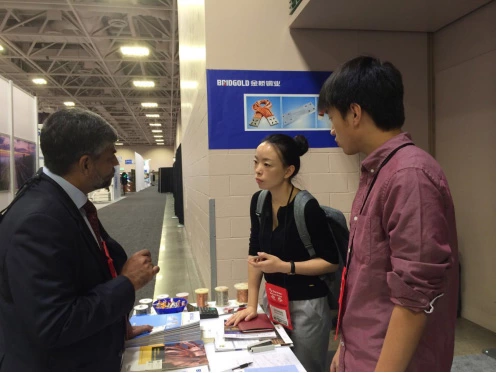 Bridgold in the Railway Interchange 2015