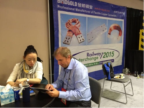 Bridgold in the Railway Interchange 2015