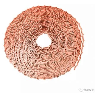 Lin Yijun,Party Secretary of the Yueqing Municipal Party Committee, visited Bridgold ---- Supervise the Business Environment Construction