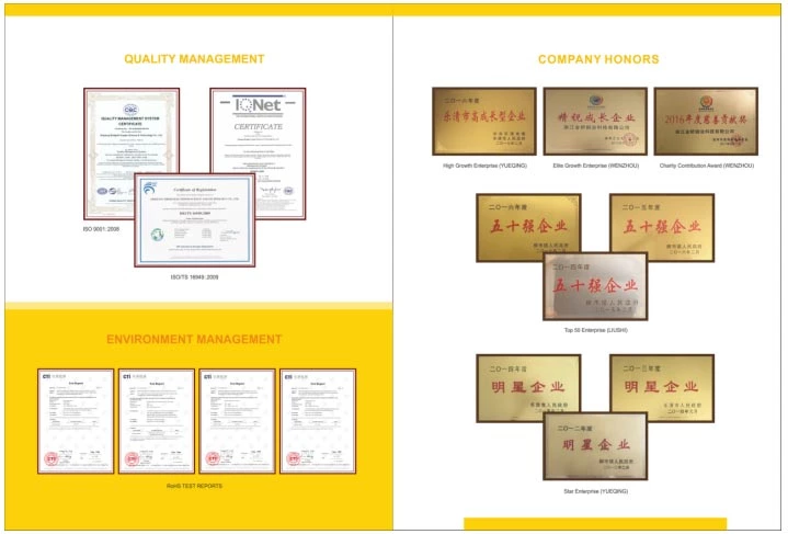 Growth up of Bridgold