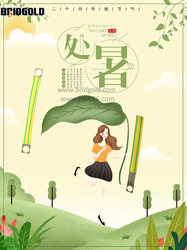 Technical Standard for Tinned Copper Braided Wire