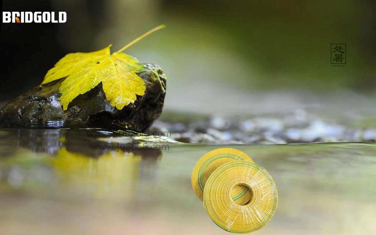 Technical Standard for Tinned Copper Braided Wire