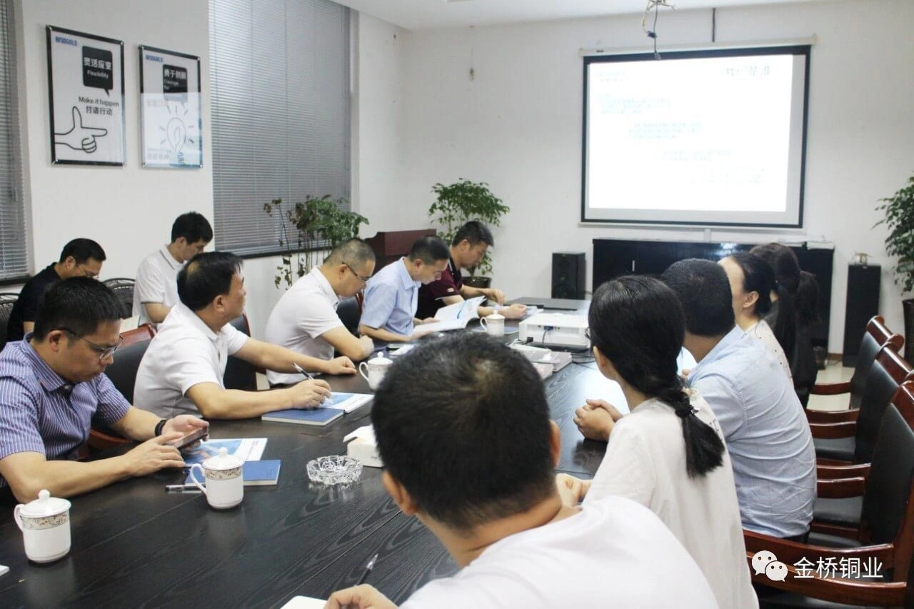 Xuanan Chen, Director of the Wenzhou Municipal Finance Bureau, Present in BRIDGOLD