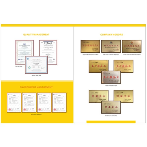 Growth up of Bridgold