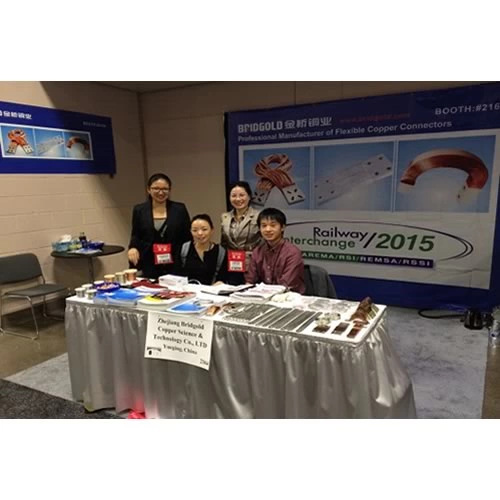 Bridgold in the Railway Interchange 2015