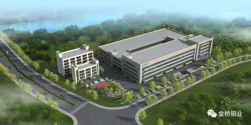 Mayor Xu Jianbing Inspects the Intelligent Construction Project of BRIDGOLD New Factory